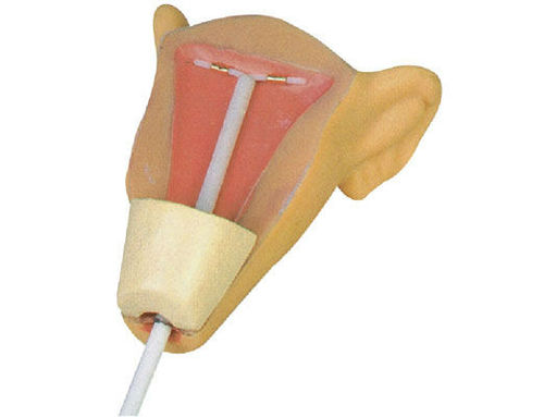 Contractive Device Model
