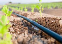 Irrigation System - 12mm Pe Pipe | Efficient Coverage For Diverse Agricultural Zones, Maximum Water Saving, Easy Installation