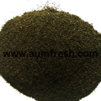 Freeze Dried Tulsi Powder - Age Group: Suitable For All