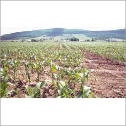 Generic Herbicide Generic Herbicide