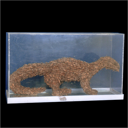 Supari Cutting Kangroo