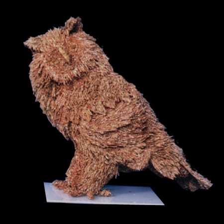 Supari Cutting Owl