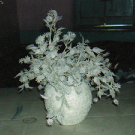 White Fish Scale Flowers