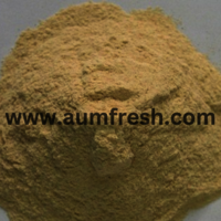 Freeze Dried Shatavari Powder - Chemical Free Natural Herb, Supports Stamina & Immune System, Safe For Human Consumption