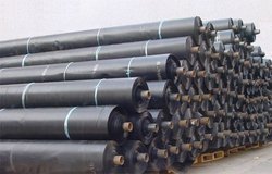LDPE Sheet