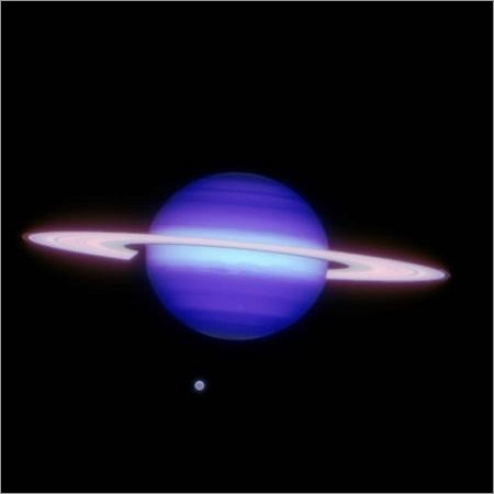 Astrologer in Canada