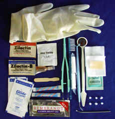Dental Kit