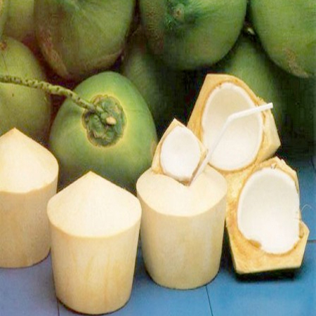 Tender Coconut