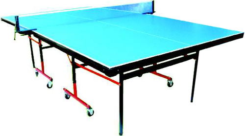 Table Tennis Table Storm with Wheels