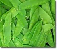 Snow Peas - Light To Mid Green, 7-10 Cm | Tender, Crisp, Sweet, Hand-picked, Ready-to-eat