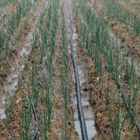 Flexible Sprinkler Hose - Durable Rubber, 50 Feet Length | Uv Resistant, Tangle-free Design, Versatile Usage