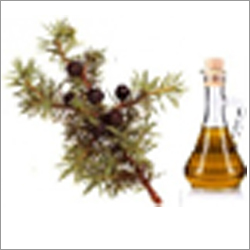 Juniper Berry Oil By HINDUSTAN MINT & AGRO PRODUCTS PVT. LTD.