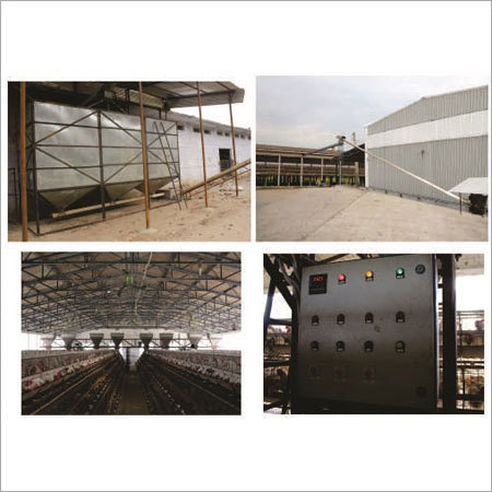 Automatic Feeding System