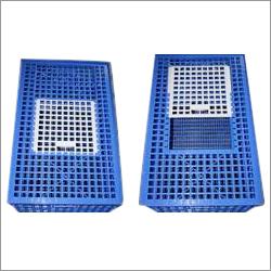 Bird Shifting Box