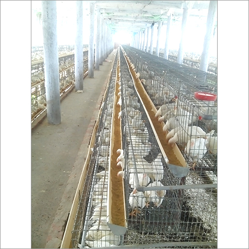 Grower Cage System