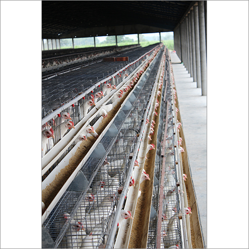 Layer Cage System