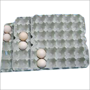 Paper Egg Tray