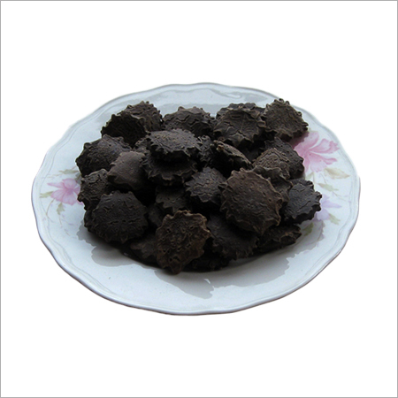 Gac Fruit's Seed