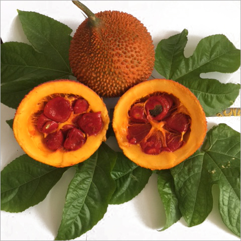 Fresh Gac Fruit Is Riped