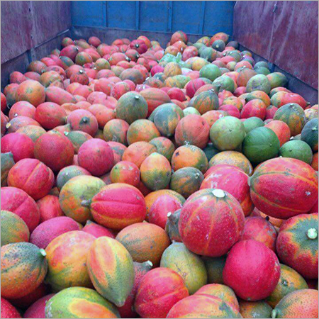 Fresh Gac Fruit After Harvest