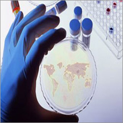 Testing Training Program Services