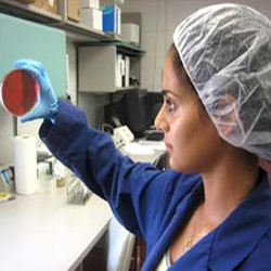 Food Analysis Services
