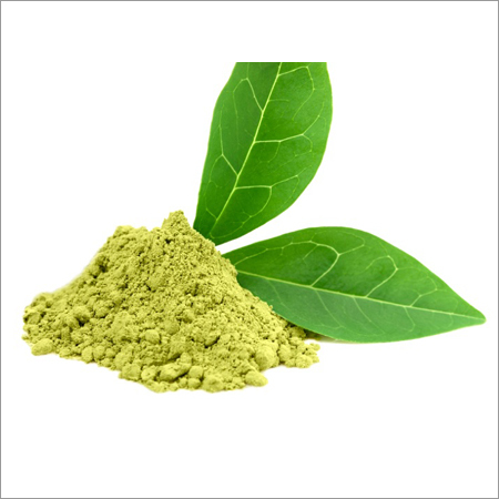 Green Tea Extract