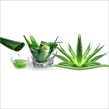 Herbal Aloe Vera Extracts