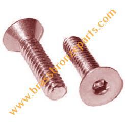 Bronze Allen Bolts