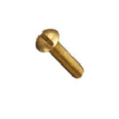 Brass Round Head Slotted Screws