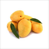 Mango Fruits