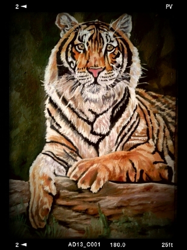 Tiger Painting On Canvas