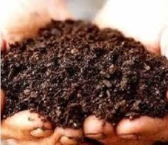 Bio Fertilizer