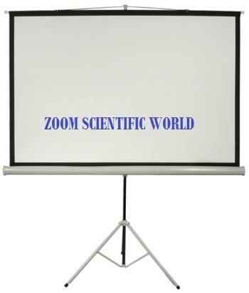 Projection Screen