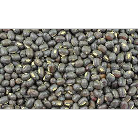 Urad Seeds