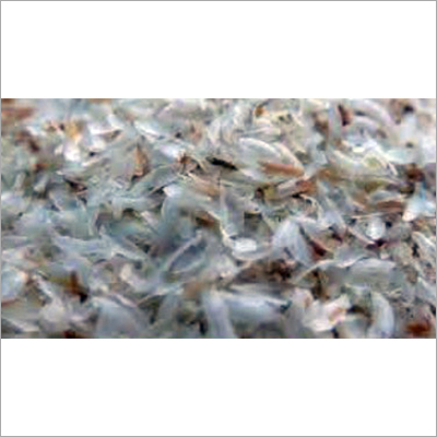 Psyllium Seed Husks