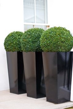 Iron Planters