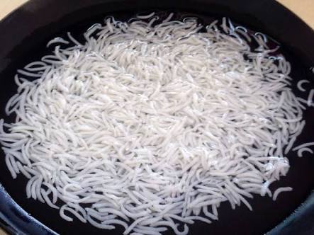 Organic Long Grain Rice