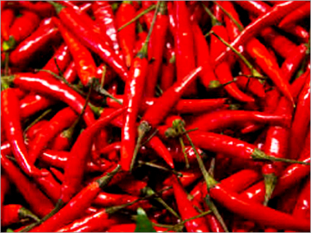 Red Chilli