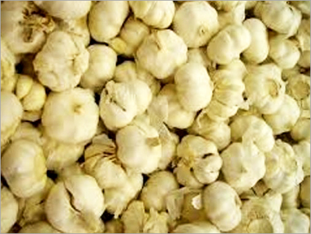 Organic Garlic Bulbs