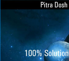 Pitradosh Nivaran Services