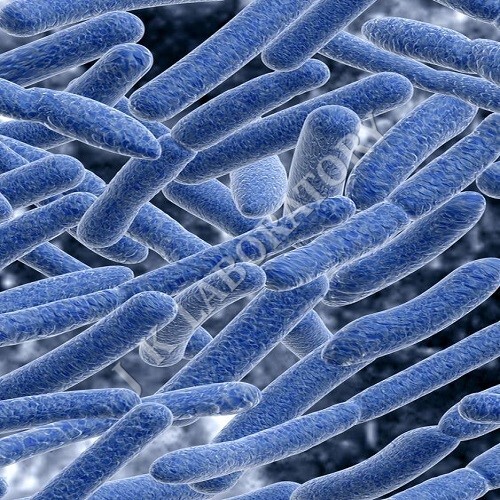 Antibacterial Testing Services