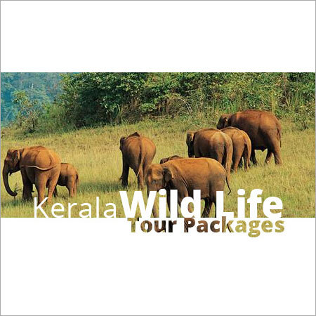 Kerala Wildlife Tour Packages