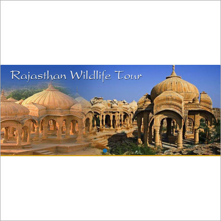 Rajasthan Wildlife Tour Services