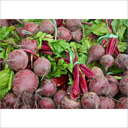 Beet Root