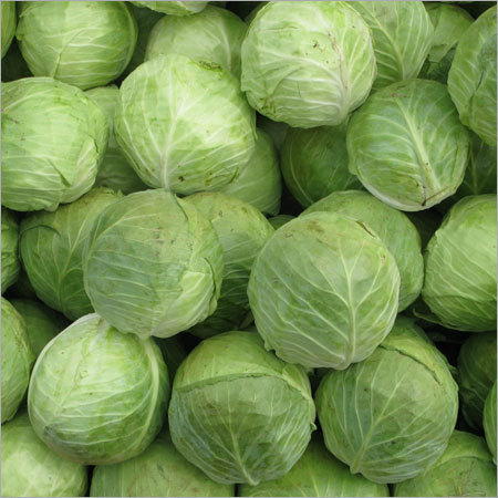 Cabbage