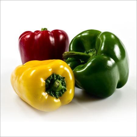 Capsicum