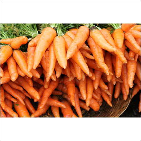 Carrot