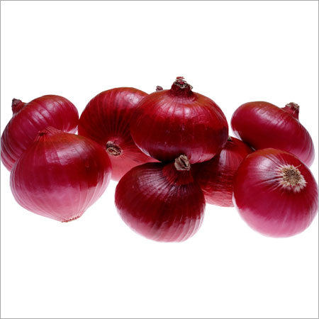 Onion