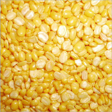 MoongDal